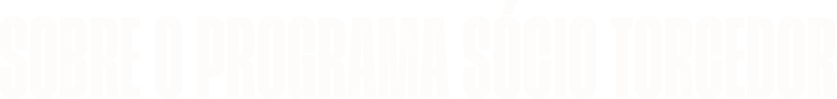 SOBRE O PROGRAMA SÓCIO TORCEDOR
